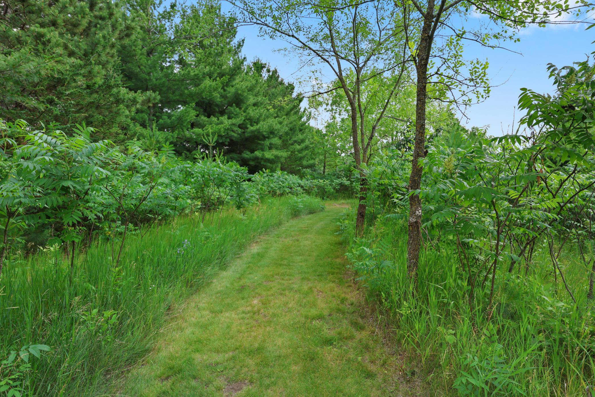 4040 Ricecliff Lane Rice, MN 56367 - Photo 112 of 124
