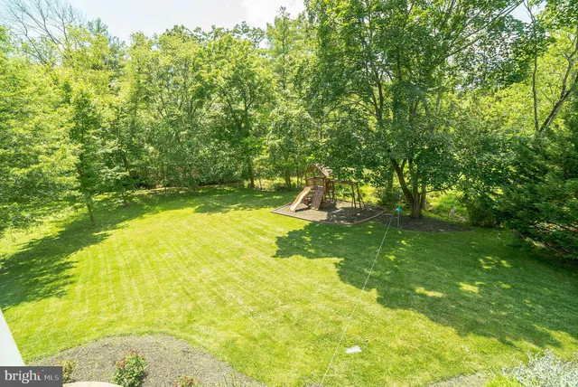 a view of a swimming pool with a garden and trees