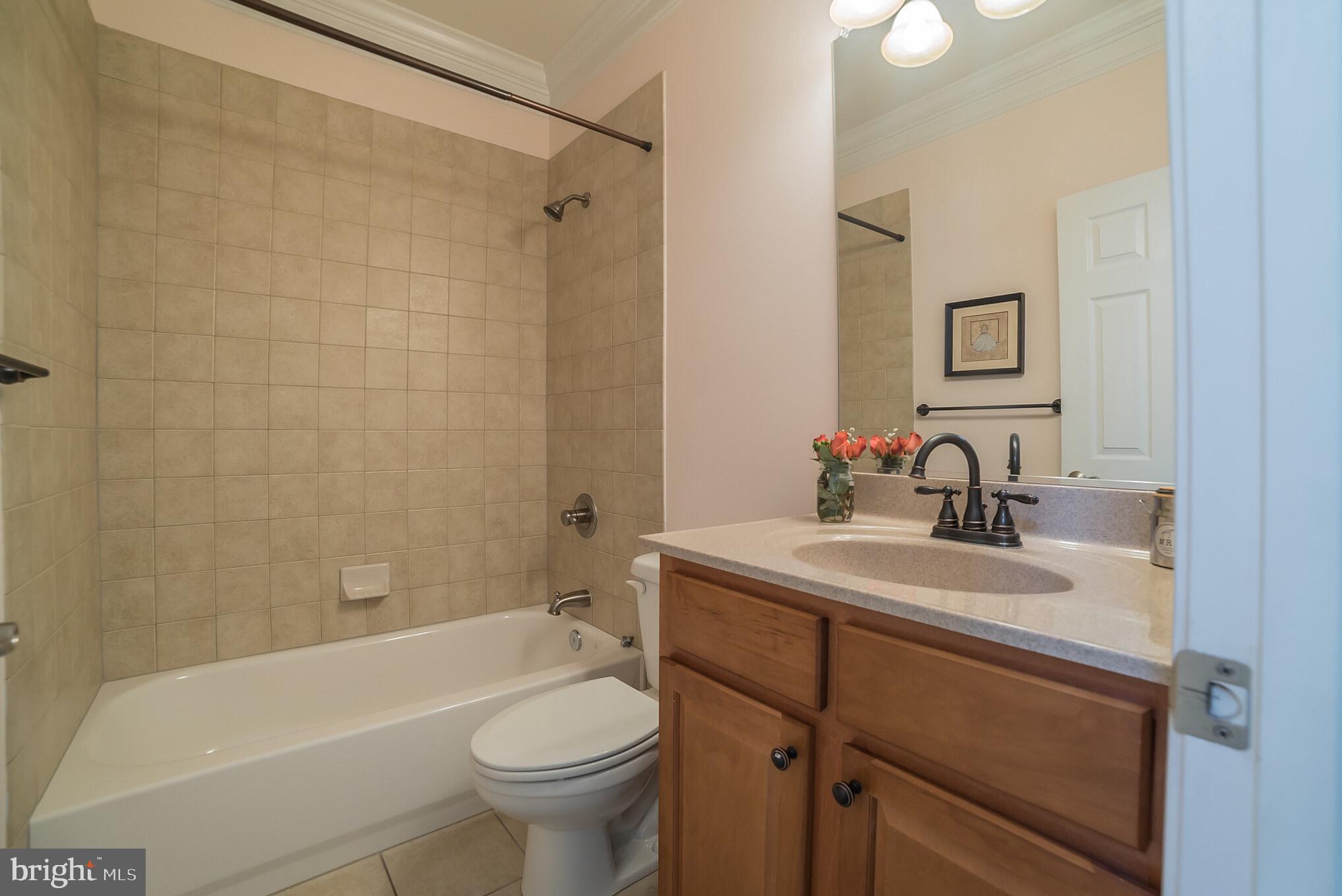 3746 Spring Meadow Drive Ellicott City, MD 21042 - Photo 22 of 40 a bathroom with a sink a toilet and shower