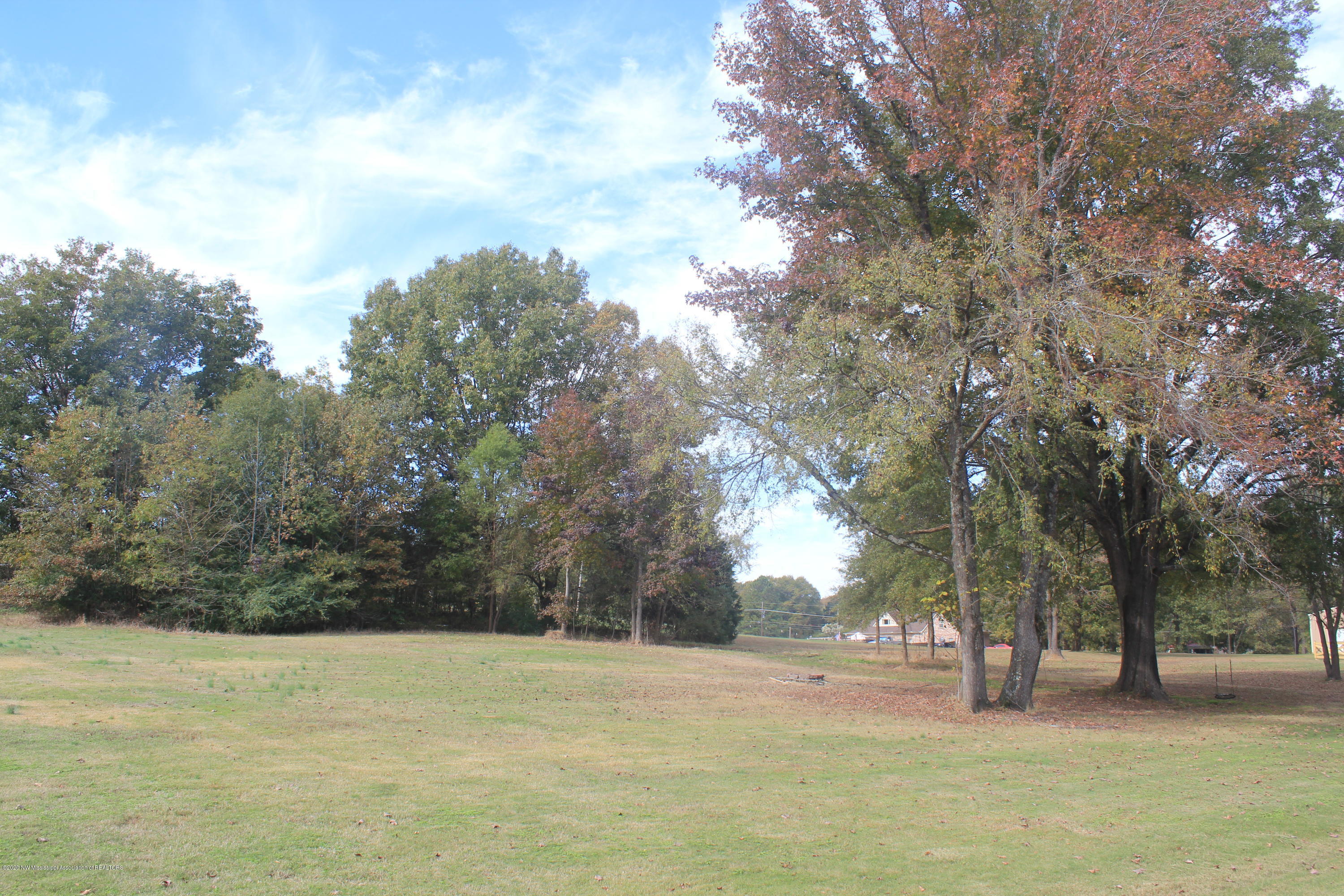 101 Laughter Road Hernando, MS 38632 - Photo 38 of 38 IMG_5227