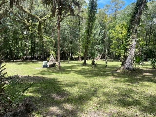 6409 East River Road Hernando, FL 34442 - Photo 10 of 50 Gallery Image 10