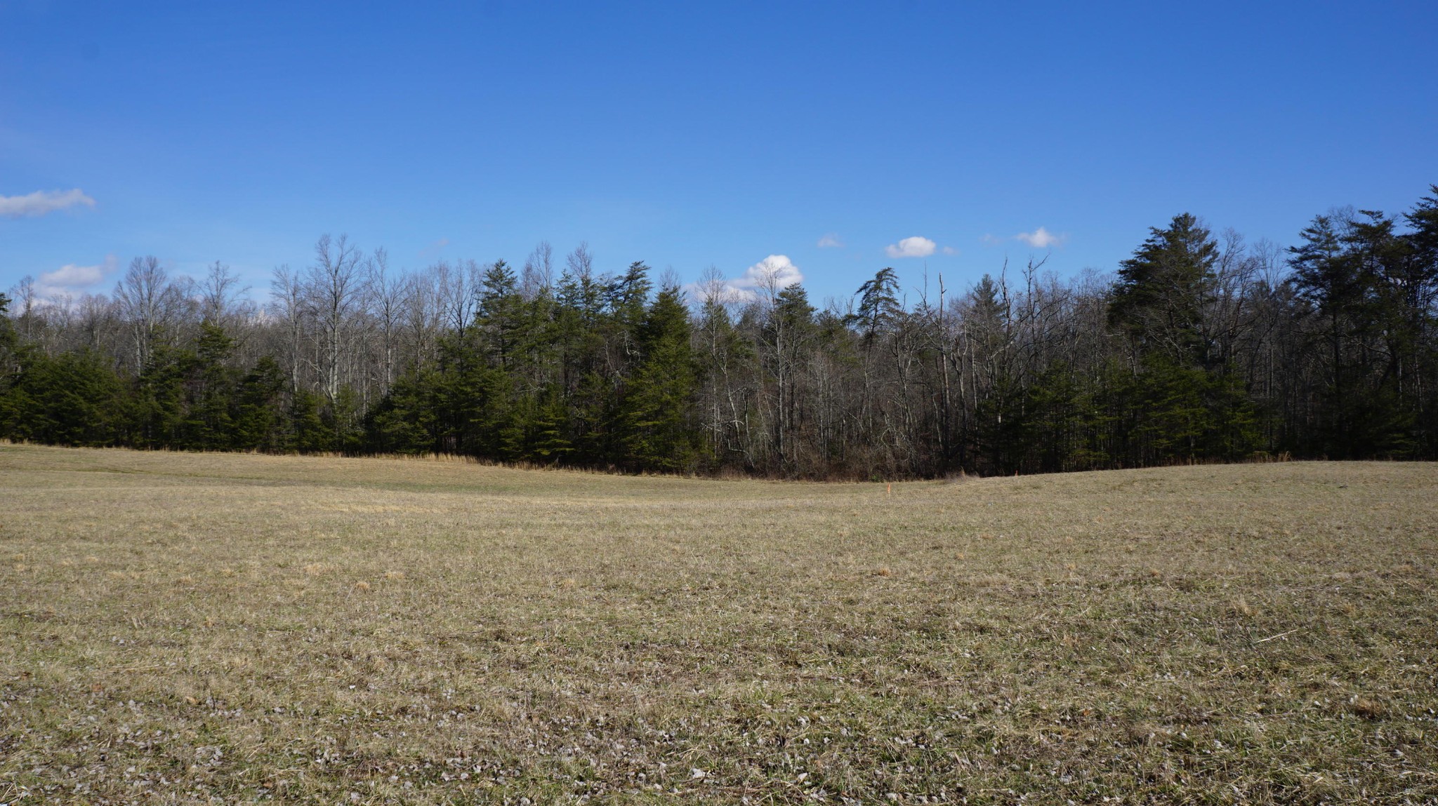 677 Al Goss Road Crossville, TN 38571 - Photo 1 of 18 Gallery Image 1