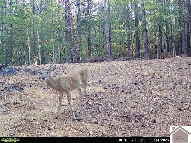0 Highland Road Murray, KY 42071 - Photo 13 of 23 136772-620b09fd-dcc5-4e8e-86dd-bfdffa212