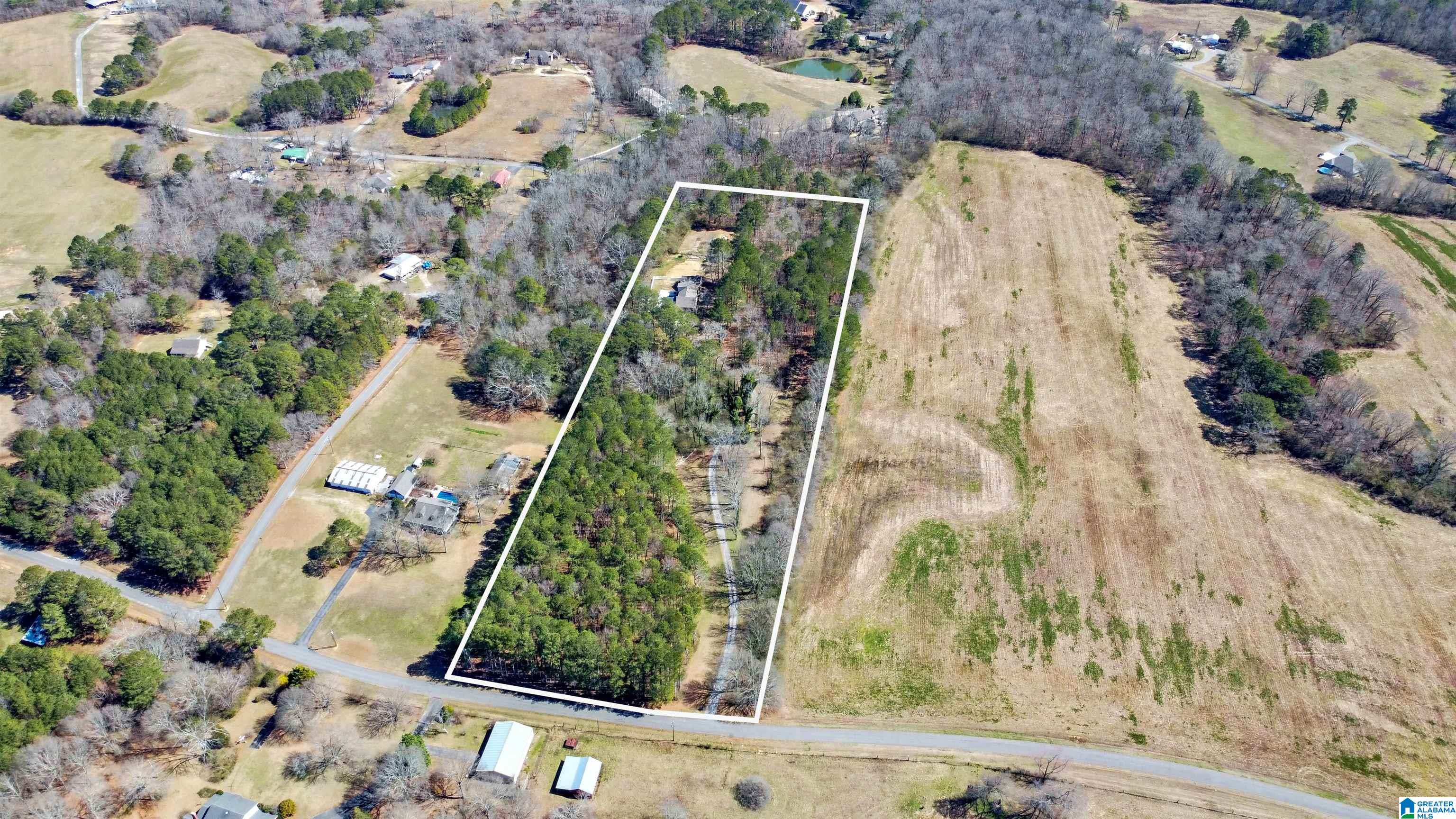 3606 Bethsaida Road Boaz, AL 35957 - Photo 3 of 44