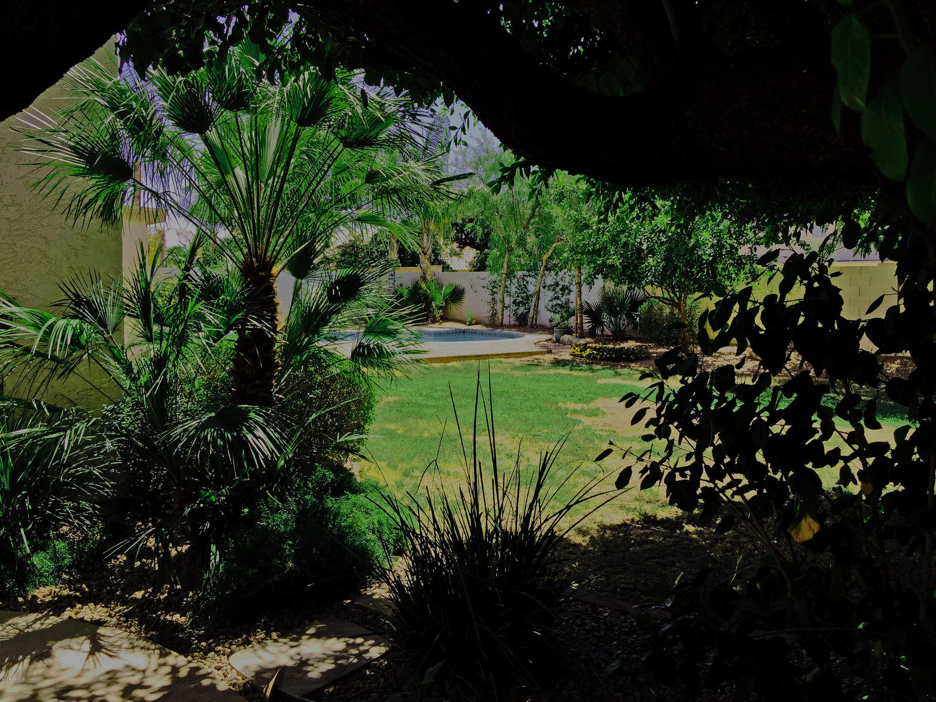 3449 East Clark Road Phoenix, AZ 85050 - Photo 16 of 82 garden-patio-to-pool