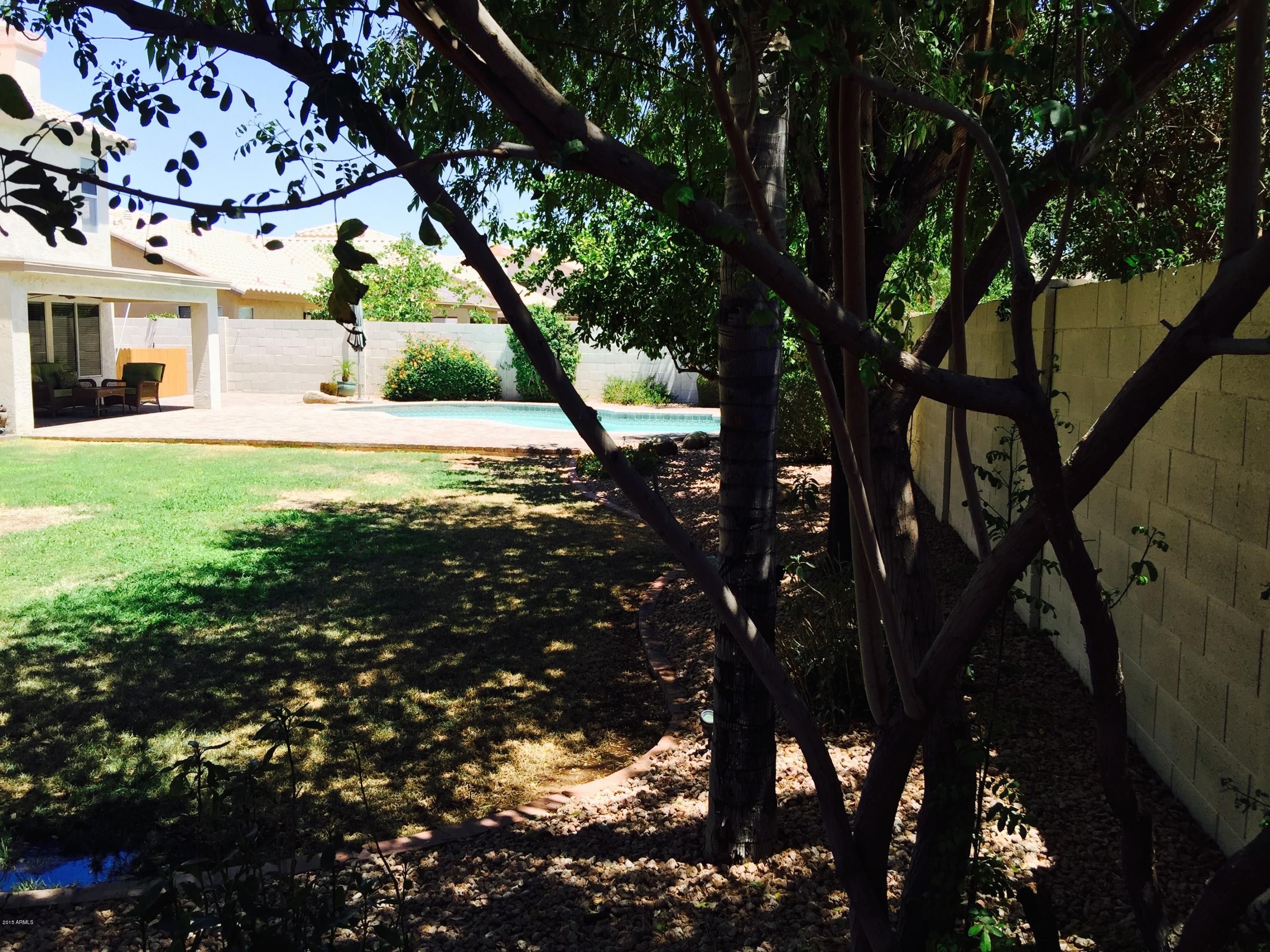3449 East Clark Road Phoenix, AZ 85050 - Photo 69 of 82 IMG_3130