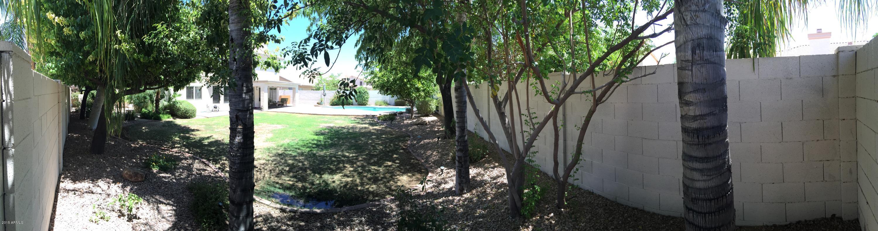 3449 East Clark Road Phoenix, AZ 85050 - Photo 71 of 82 IMG_3123