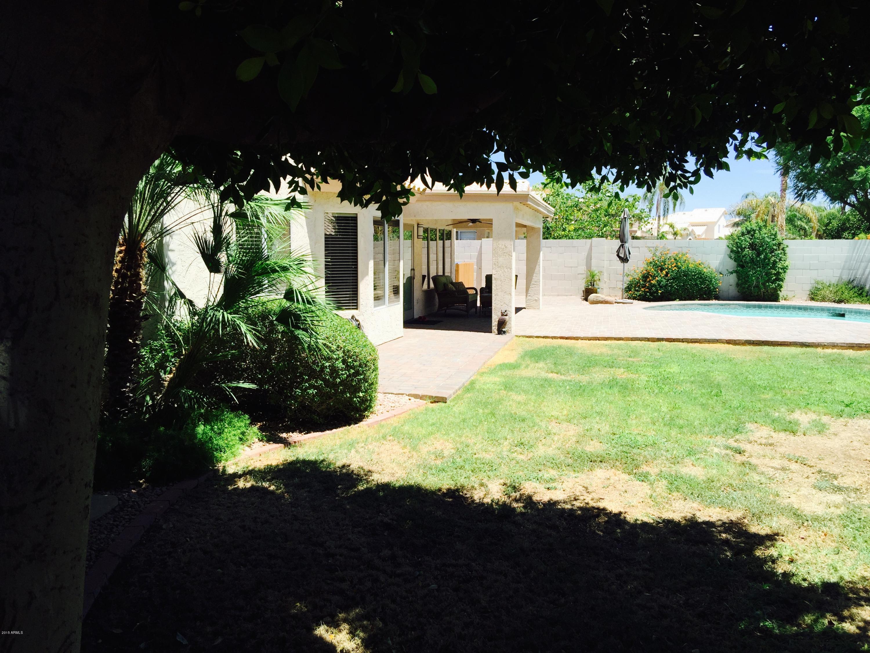 3449 East Clark Road Phoenix, AZ 85050 - Photo 75 of 82 IMG_3138