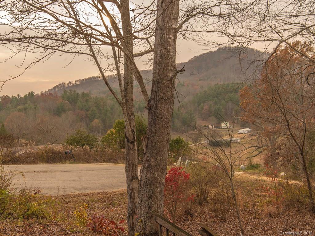 55 Farmstead Road, Unit 20 Leicester, NC 28748 - Photo 5 of 5 Gallery Image 5