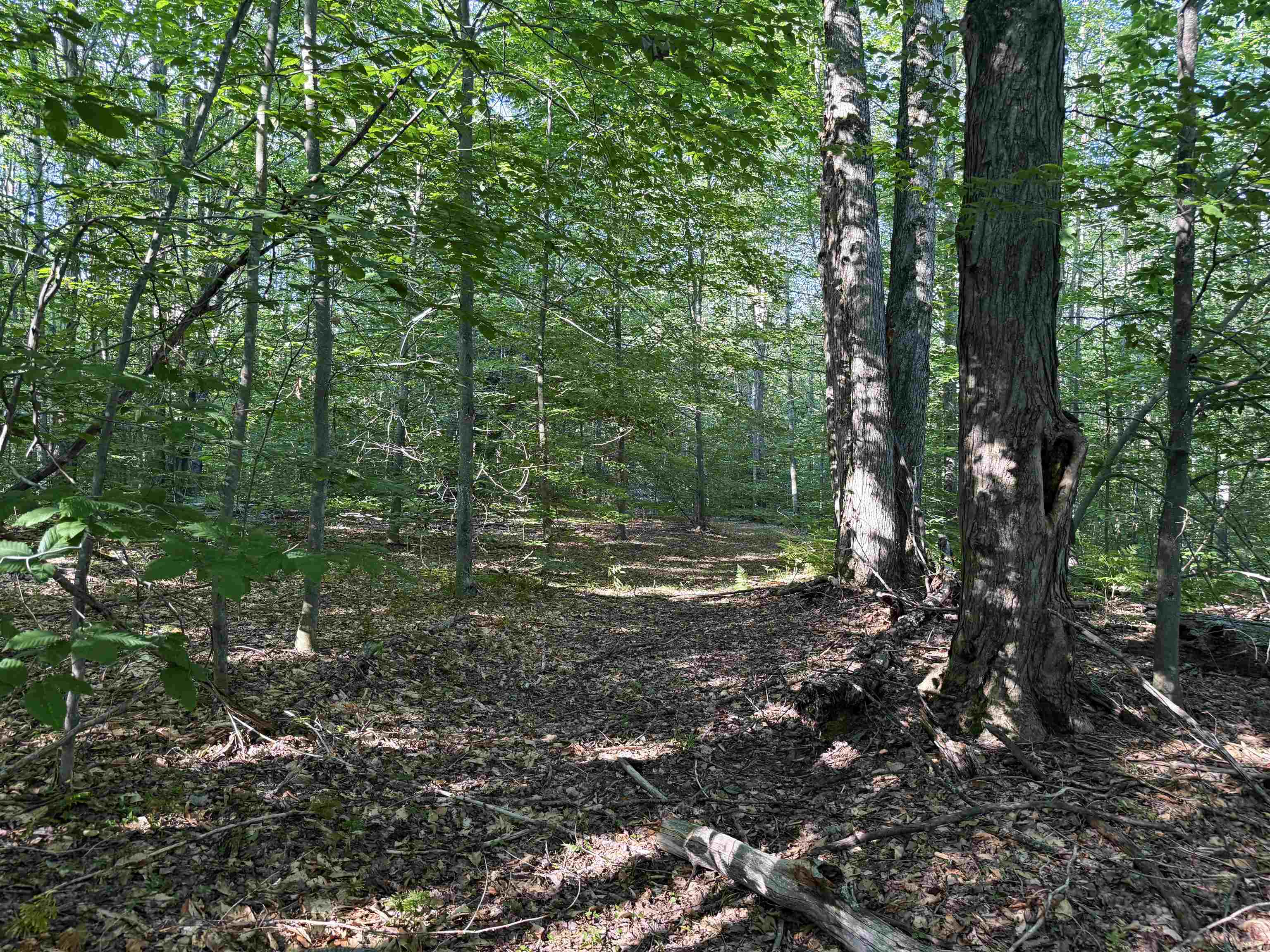 1783 West Sharon Road Fife Lake, MI 49633 - Photo 61 of 71 1947890-dd114c0d-1cfc-47d1-ba25-ac6966d5a9c9.JPG