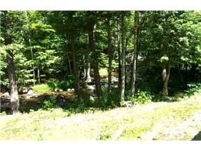 211 Thornton Gore Road Thornton, NH 03285 - Photo 3 of 4 Gallery Image 3