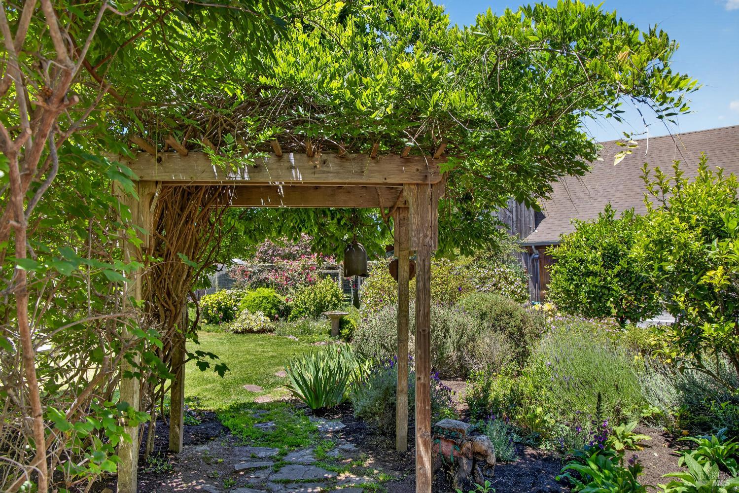 385 Cedar Road Bolinas, CA 94924 - Photo 54 of 70
