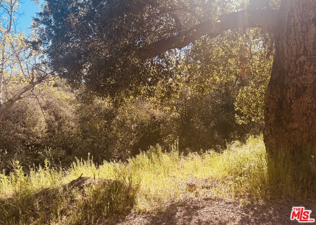 0 Red Rock Road Topanga, CA 90290 - Photo 41 of 53 a view of a yard