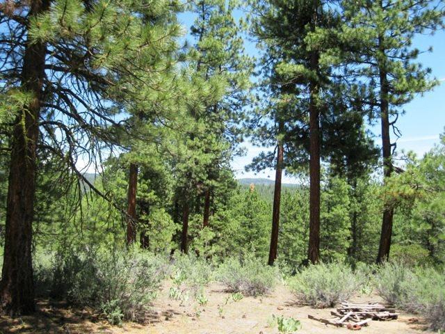 36700 Godowa Springs Road Beatty, OR 97621 - Photo 19 of 24 Additional Photo