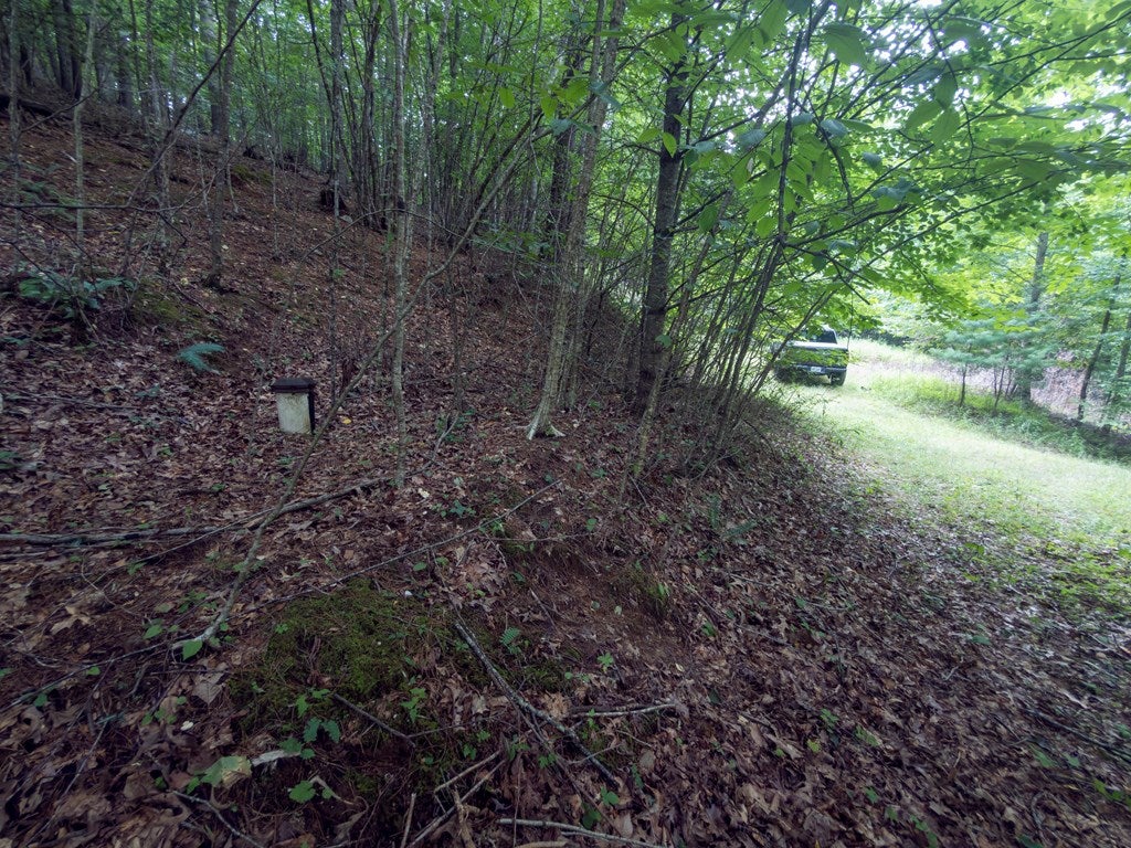 154 Buffalo Road, Unit 73A11 Dugspur, VA 24325 - Photo 20 of 41 Gallery Image 20