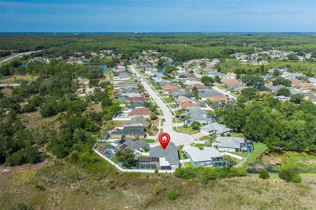 8918 Linebrook Drive Trinity, FL 34655 - Photo 61 of 76