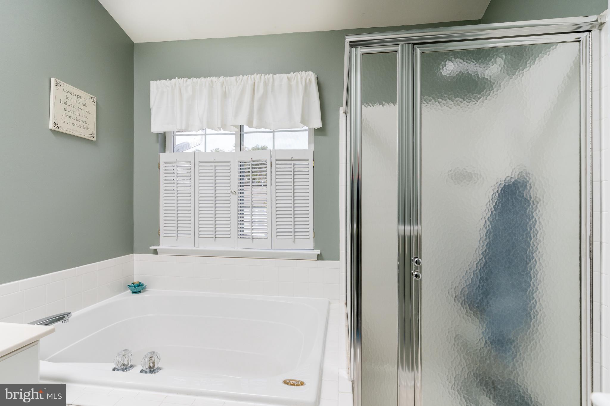 8707 Riverscape Court Odenton, MD 21113 - Photo 24 of 39 Master Bath and Shower