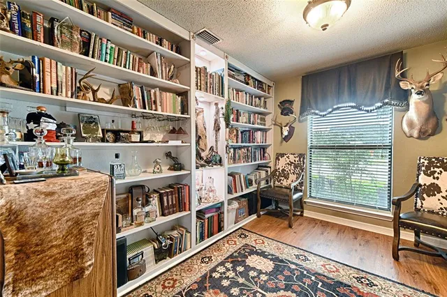 a view of a back yard of the house