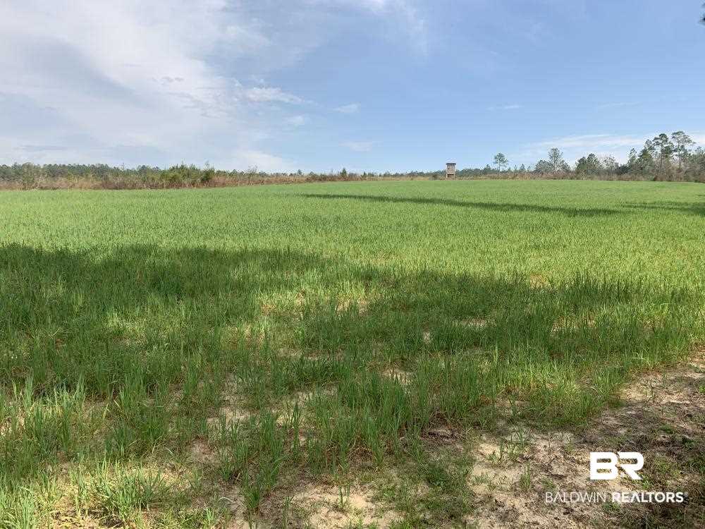17525 Joe Gottler Road Elberta, AL 36530 - Photo 27 of 44