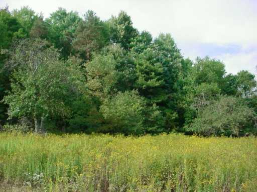 Walker Road Rochester Mills, PA 15771 - Photo 2 of 4 Land.