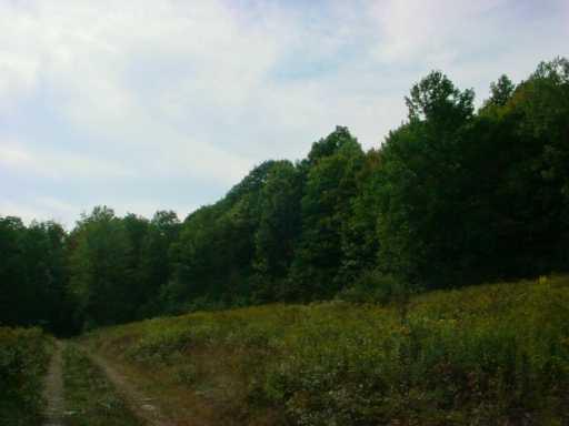 Walker Road Rochester Mills, PA 15771 - Photo 4 of 4 Land.