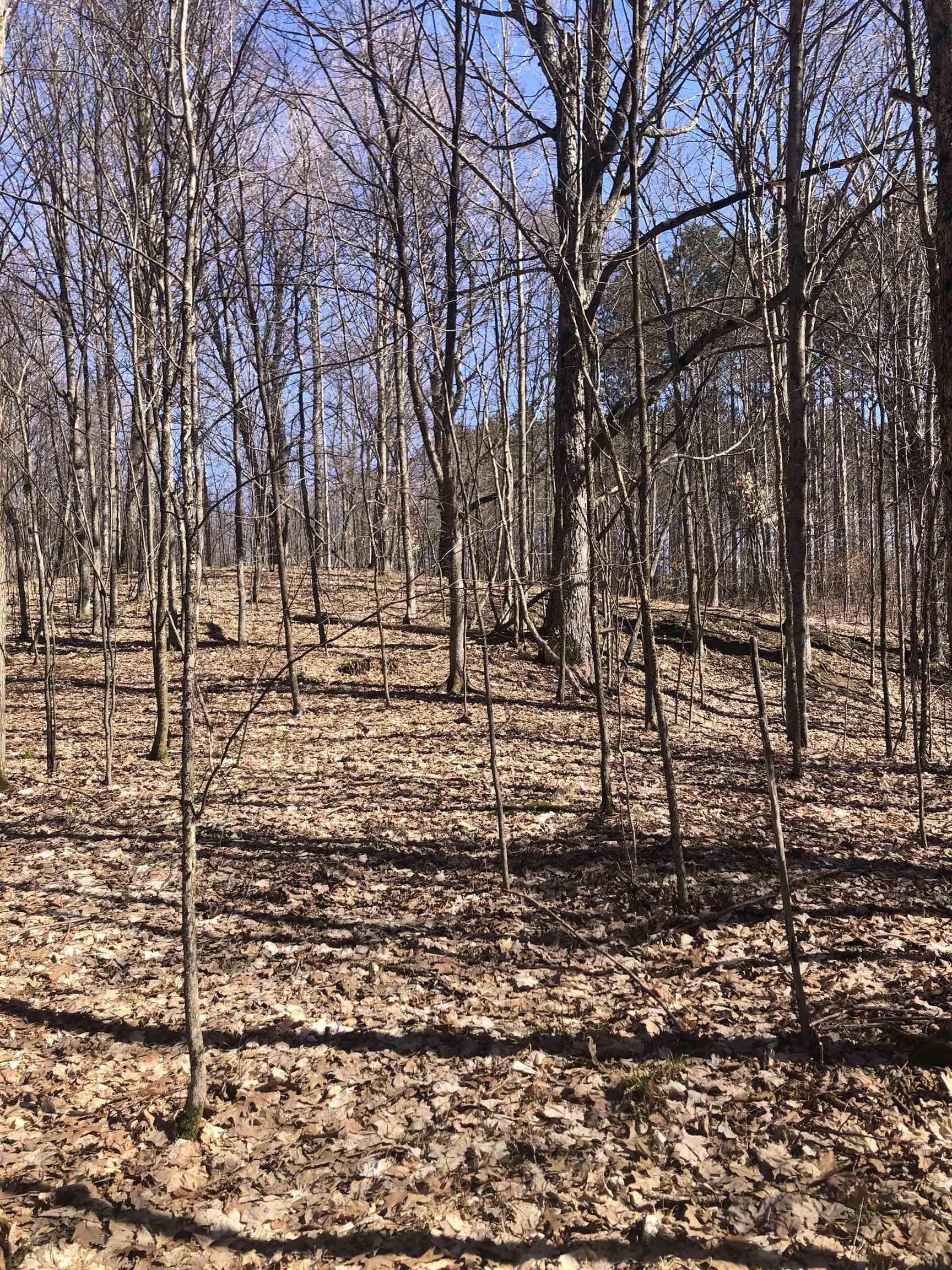 9 South 9 Mile Road Copemish, MI 49625 - Photo 17 of 35