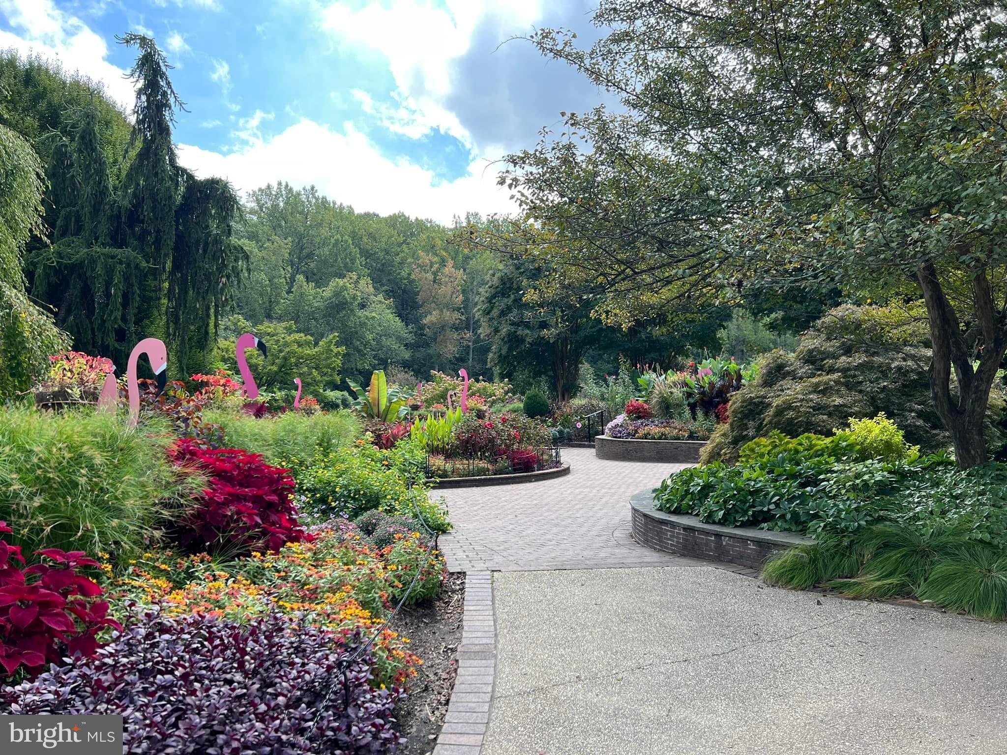 2224 Leesborough Drive Silver Spring, MD 20902 - Photo 13 of 17 Brookside Gardens!