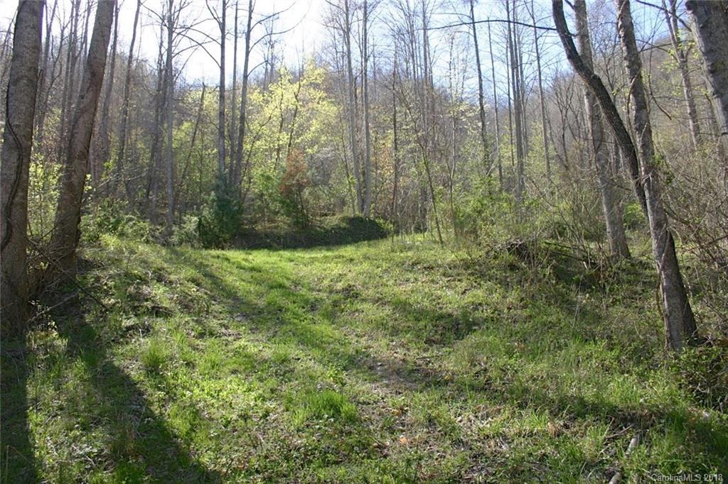 999 Hunter Ck Road Marshall, NC 28753 - Photo 2 of 6