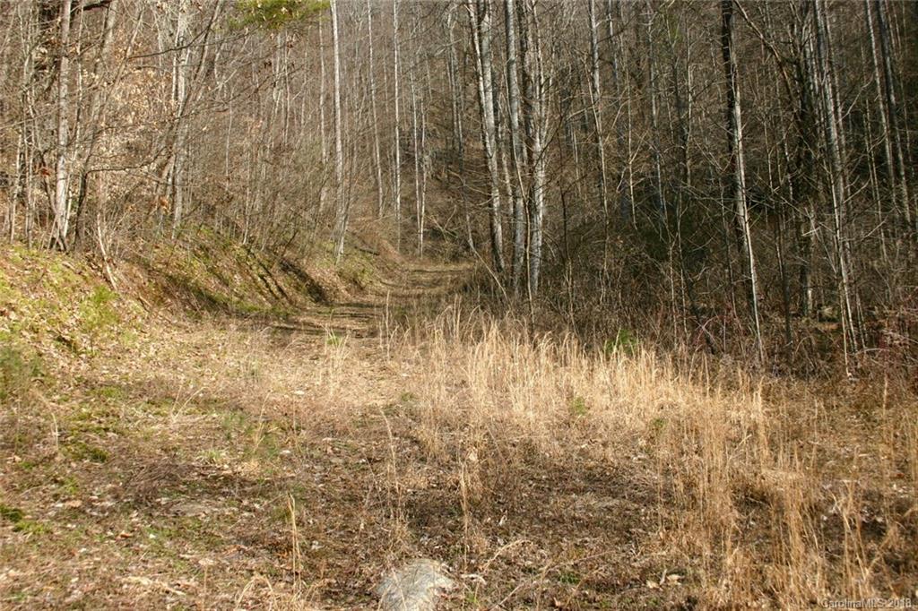 999 Hunter Ck Road Marshall, NC 28753 - Photo 4 of 6