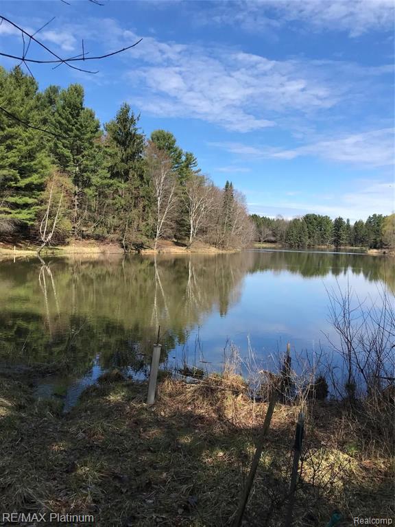 20 Ac V/l Curdy Road Howell, MI 48855 - Photo 1 of 11