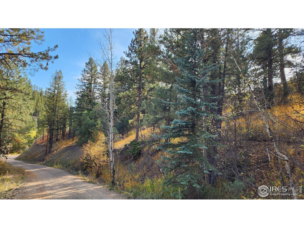 84 Copper Hill Road Drake, CO 80515 - Photo 19 of 28