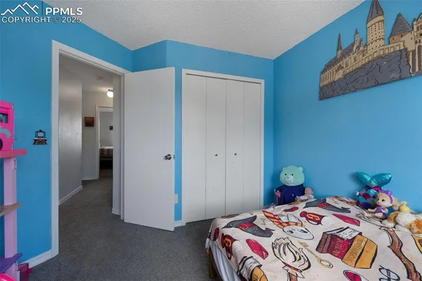a bedroom with a bed and a closet