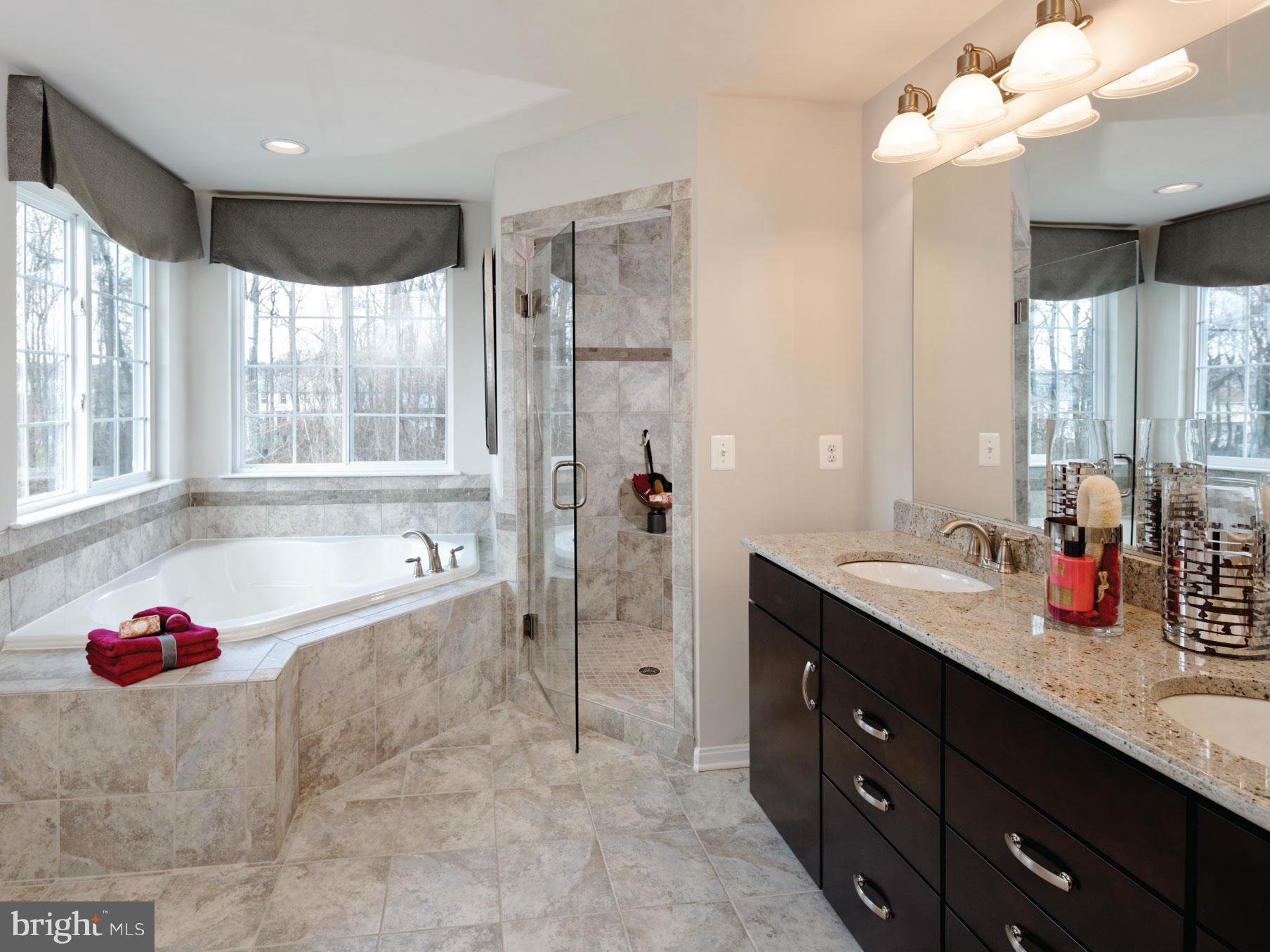 144 Moore Road Arnold, MD 21012 - Photo 10 of 12 Bath (Master)