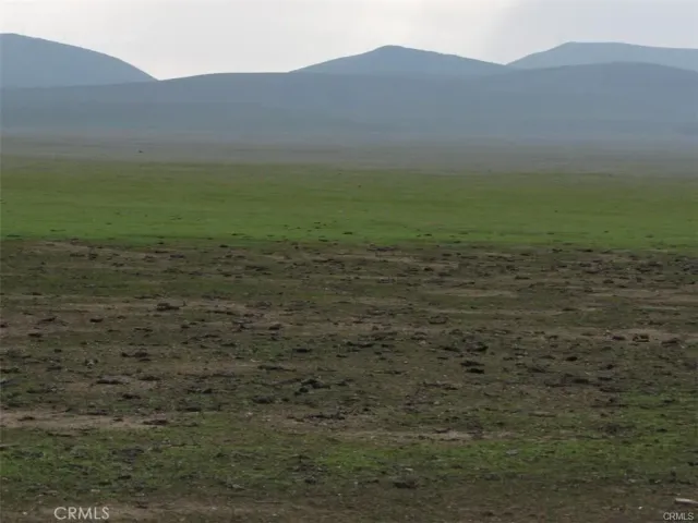 a view of a field with an ocean