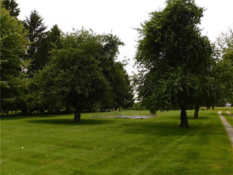 2003 Mercer Road Fredonia, PA 16124 - Photo 8 of 25 DESIGNATED GARDEN SPOT AND FRUIT TREES