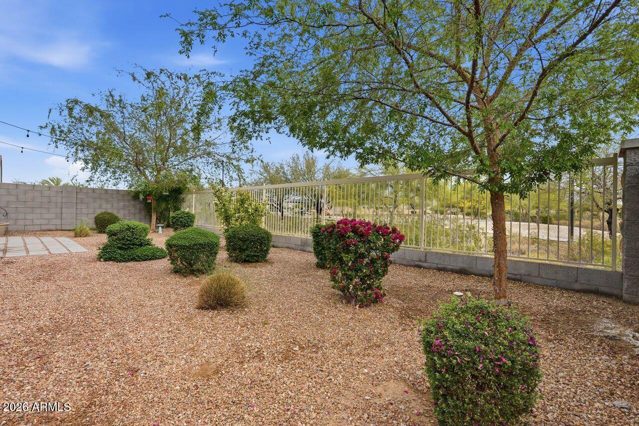 23602 West Ripple Road Buckeye, AZ 85326 - Photo 37 of 38 a view of a backyard with garden and furniture
