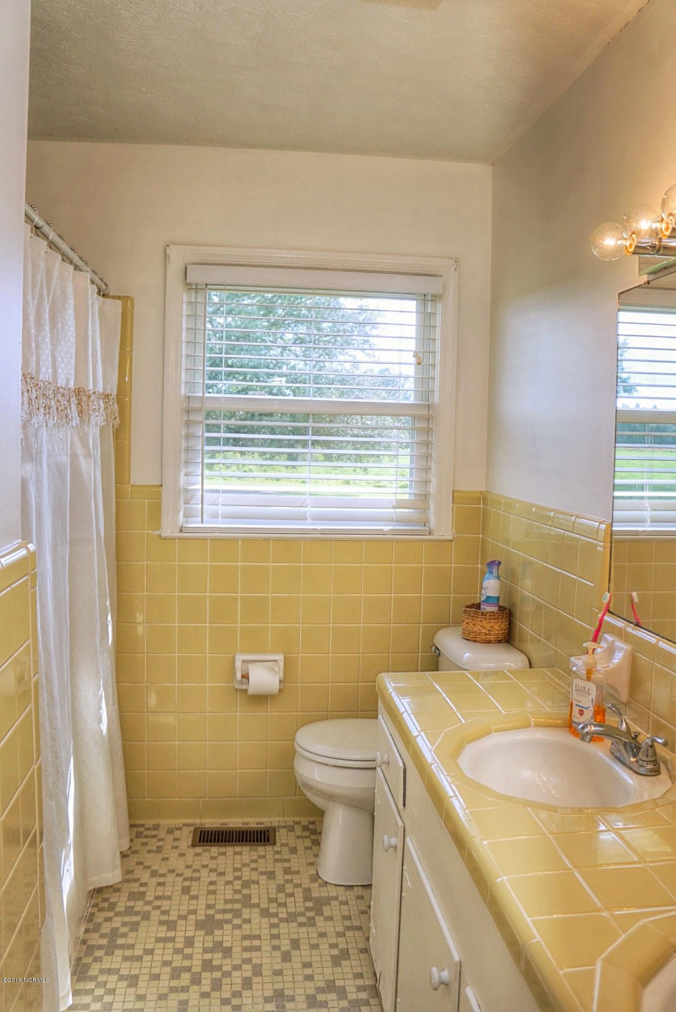 2562 Rosindale Road Clarkton, NC 28433 - Photo 16 of 16 2652 Rosindale bathroom view 1