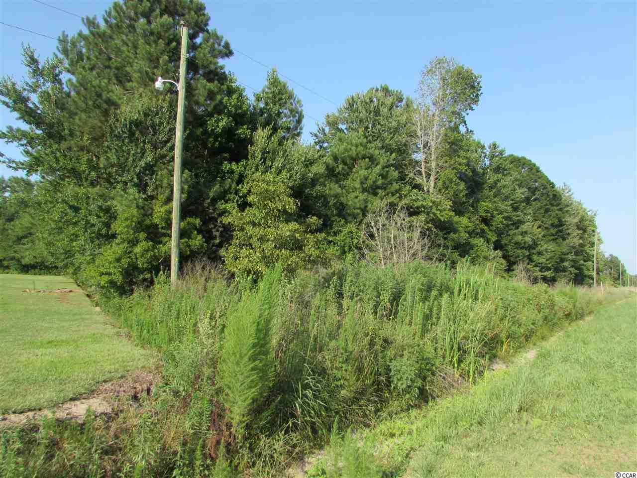 2829 Bertie Road Green Sea, SC 29545 - Photo 1 of 17 Gallery Image 1