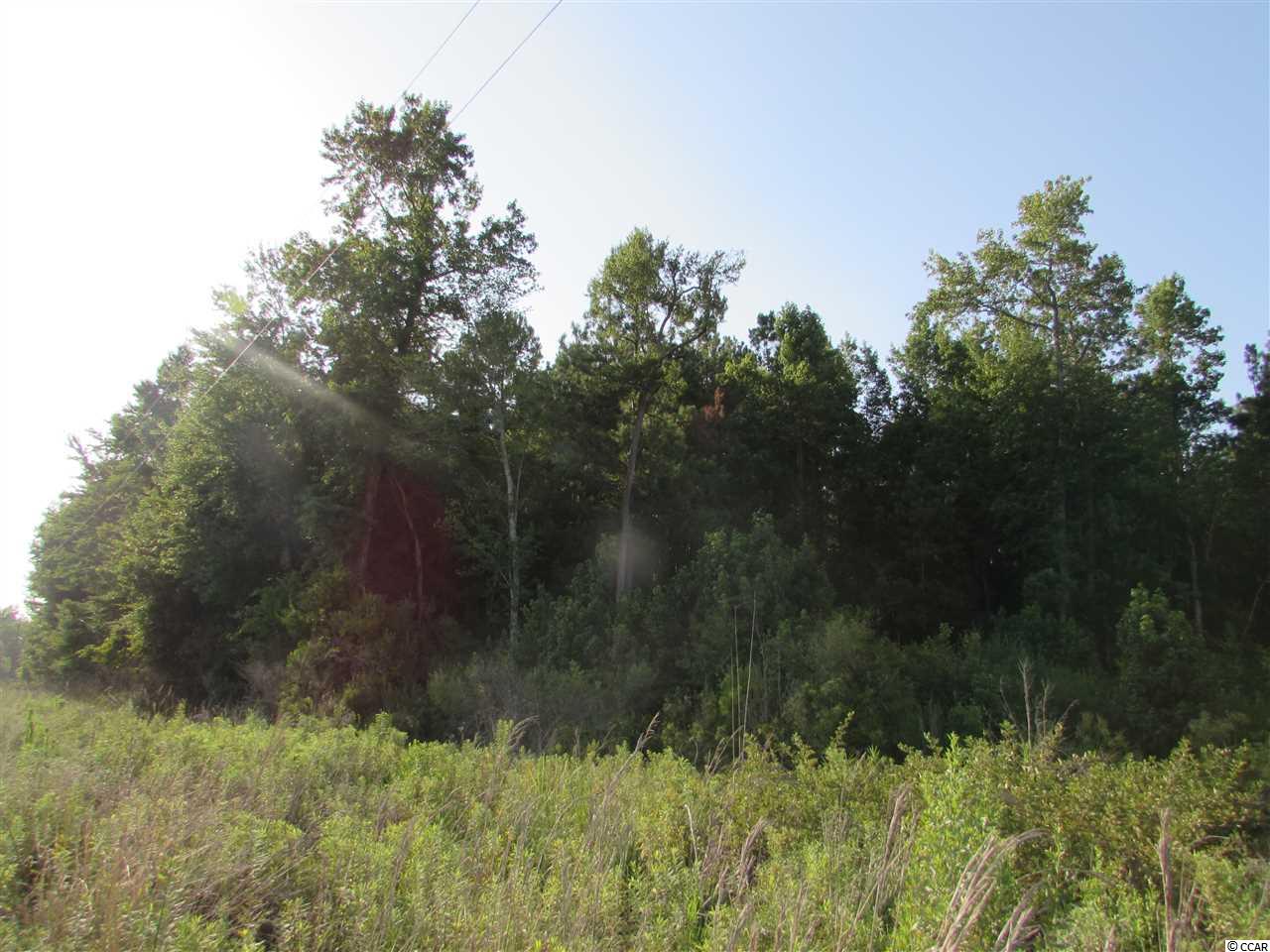 2829 Bertie Road Green Sea, SC 29545 - Photo 11 of 17 Gallery Image 11