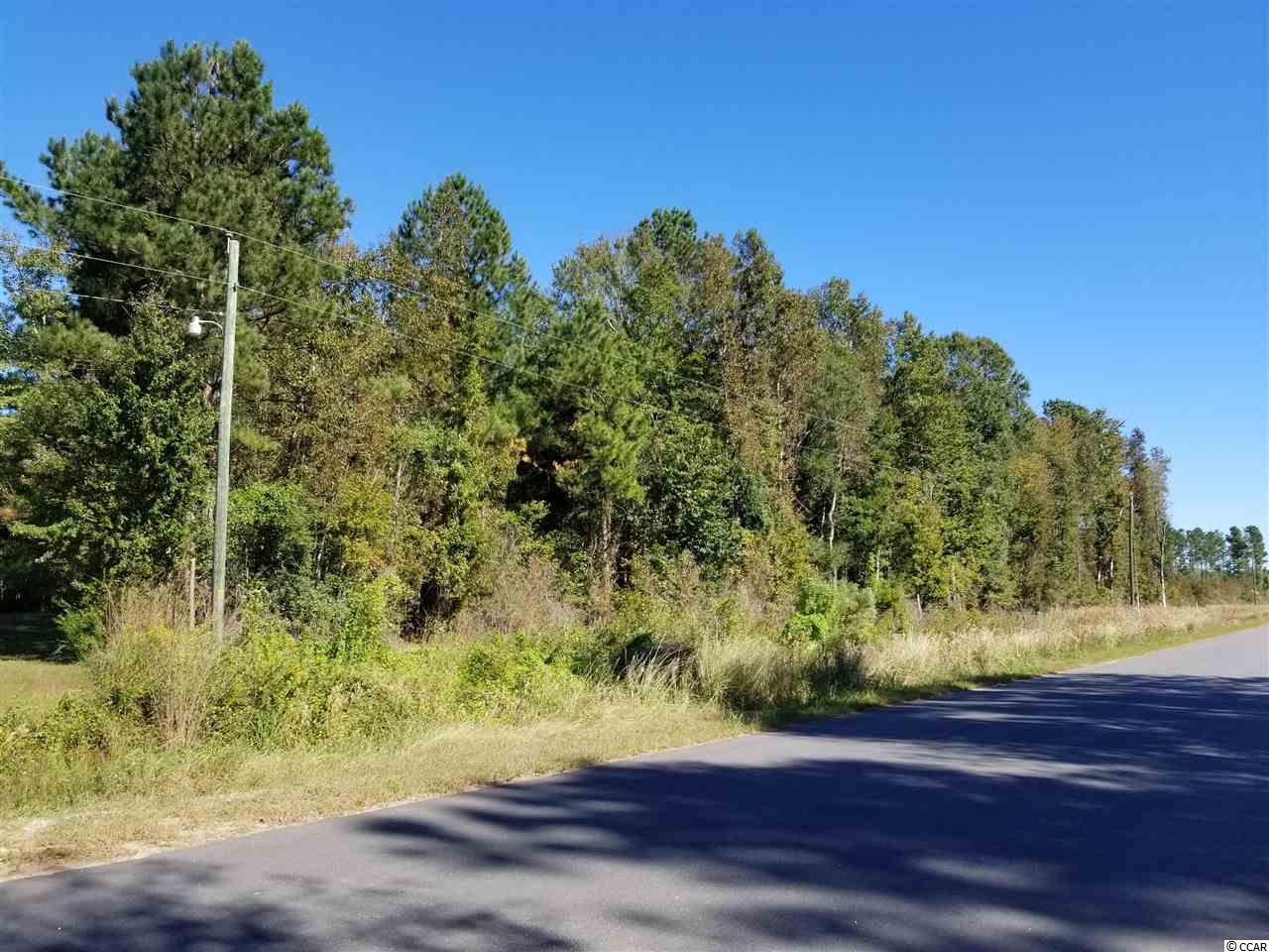 2829 Bertie Road Green Sea, SC 29545 - Photo 14 of 17 Gallery Image 14