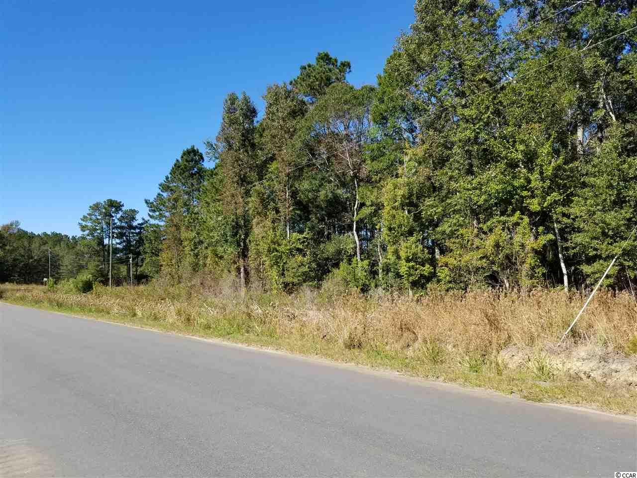 2829 Bertie Road Green Sea, SC 29545 - Photo 16 of 17 Gallery Image 16