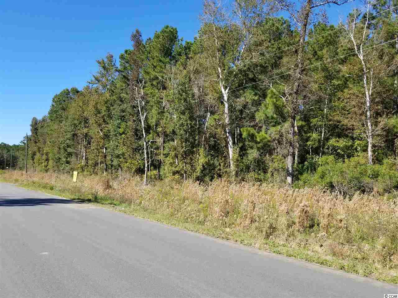 2829 Bertie Road Green Sea, SC 29545 - Photo 17 of 17 Gallery Image 17