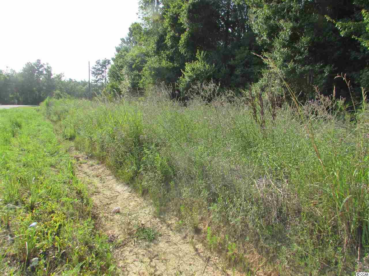 2829 Bertie Road Green Sea, SC 29545 - Photo 7 of 17 Gallery Image 7