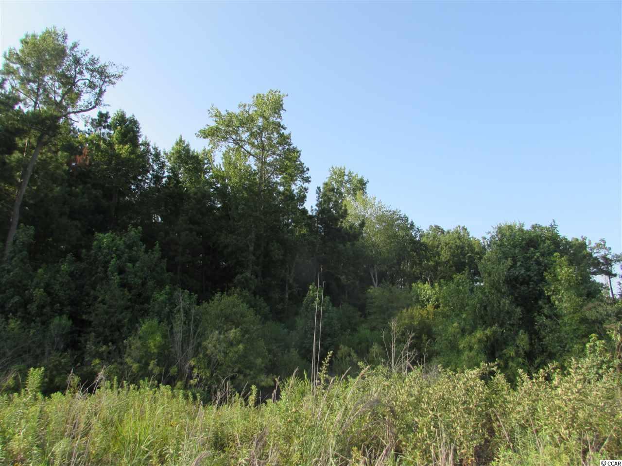 2829 Bertie Road Green Sea, SC 29545 - Photo 10 of 17 Gallery Image 10