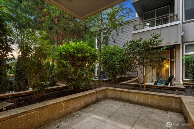 a view of swimming pool with chairs