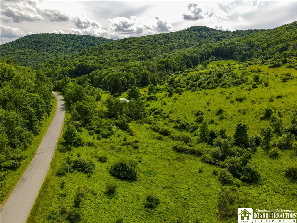 1605 Lillibridge Road Olean, NY 14760 - Photo 40 of 49
