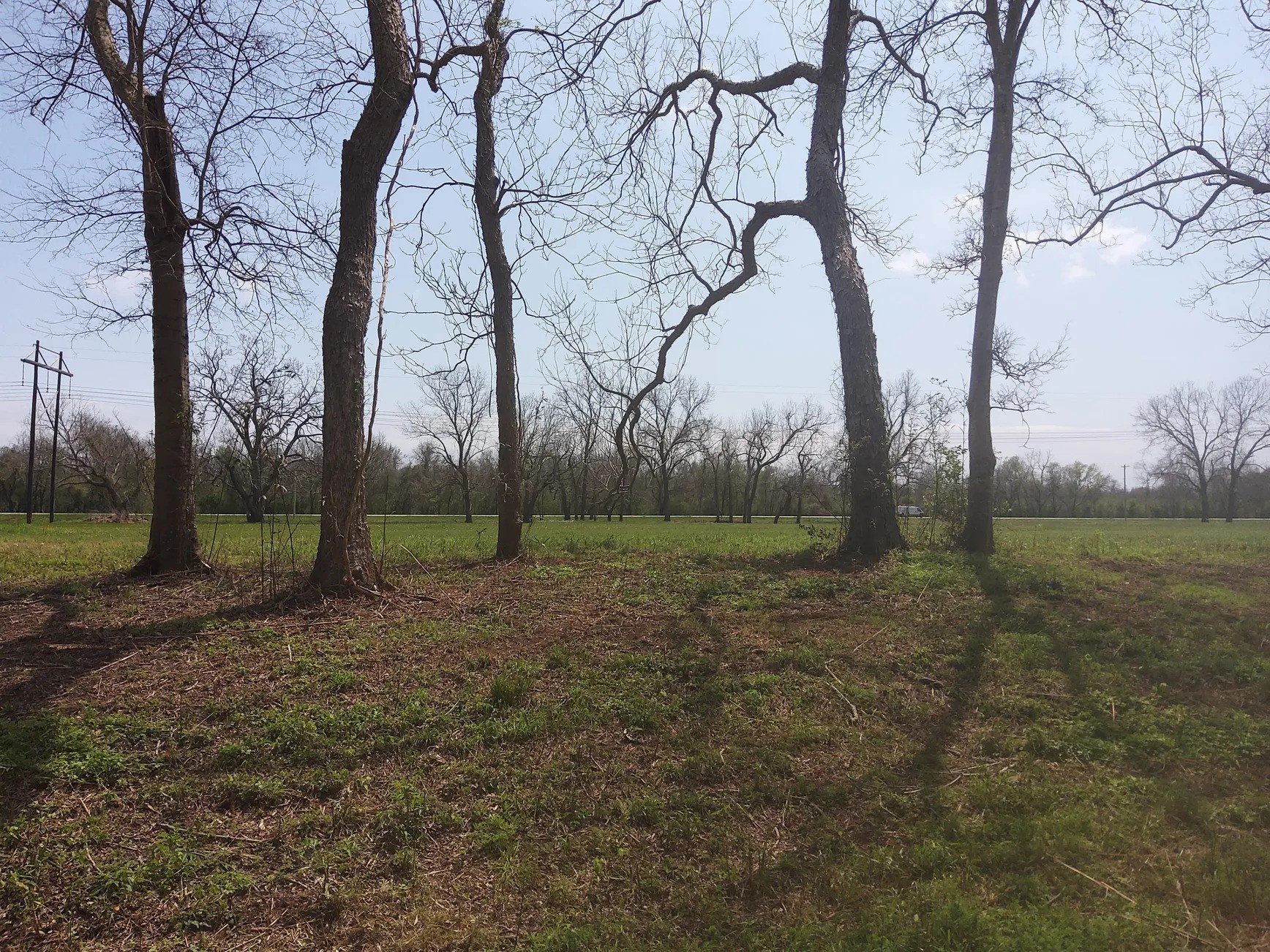 Lot 1 FM 521 Road Angleton, TX 77515 - Photo 20 of 34