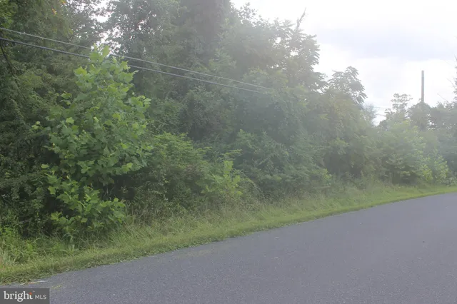 a view of a yard and basketball court