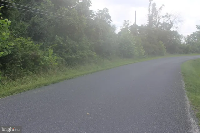 a view of a field with trees in background