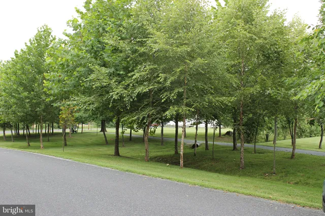 a view of a park with tree s